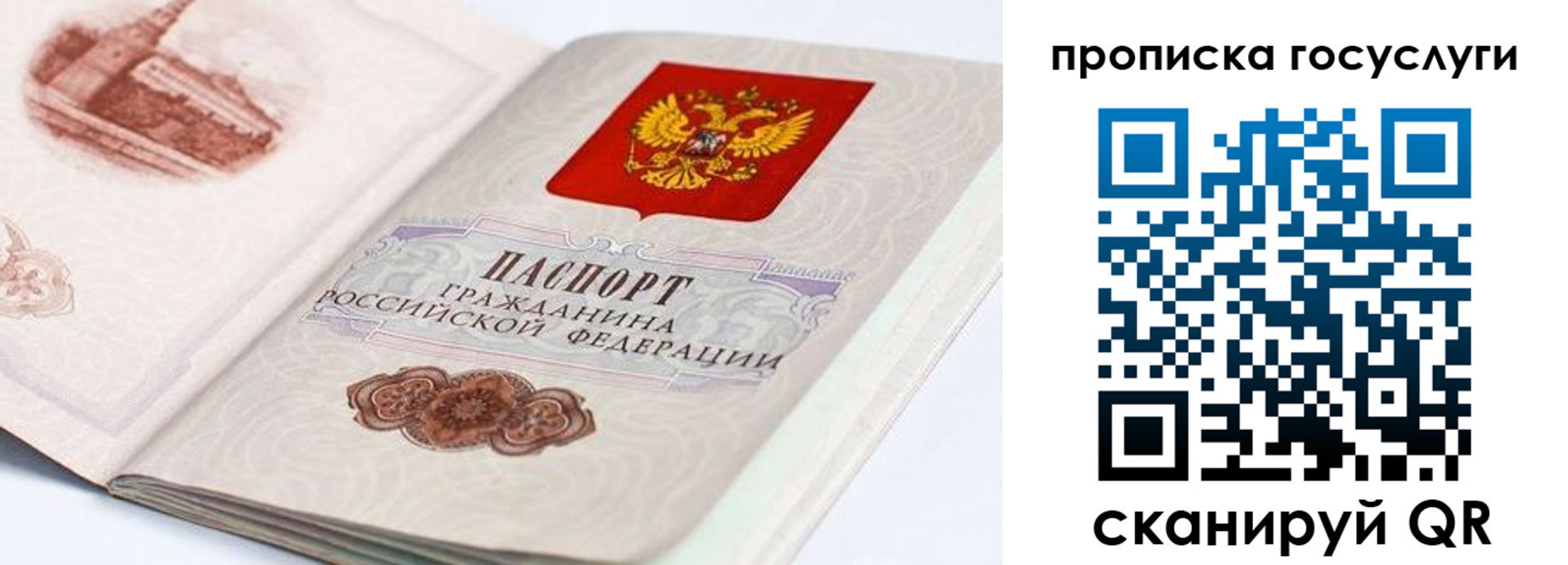прописка гарантия в Липецке